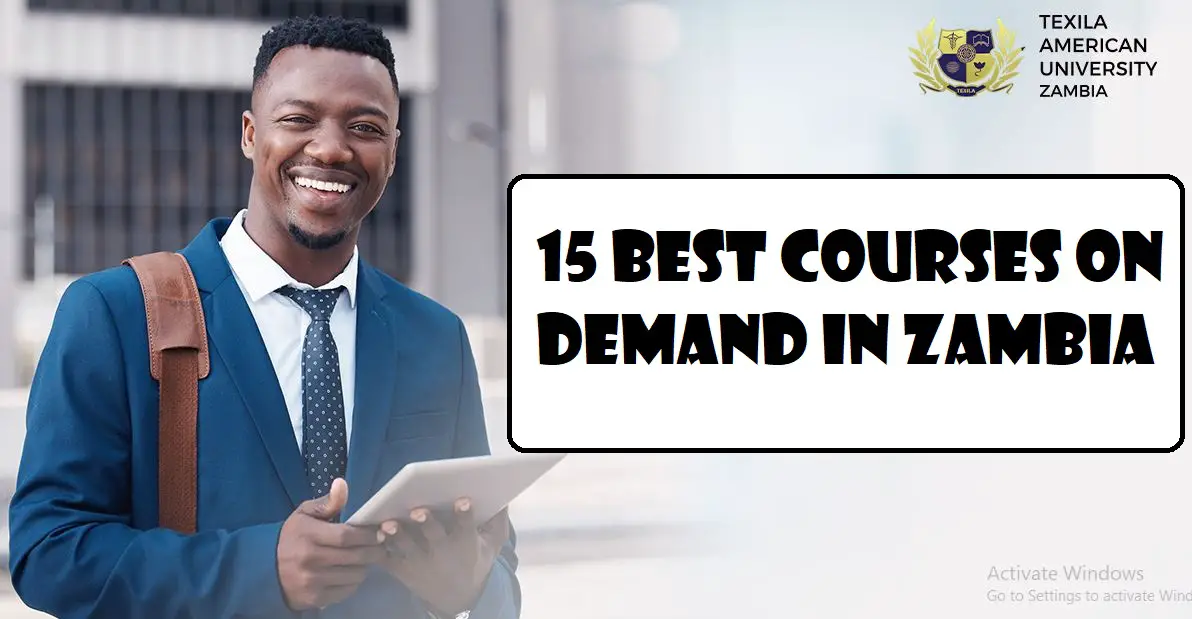 15 Best Courses on Demand in Zambia