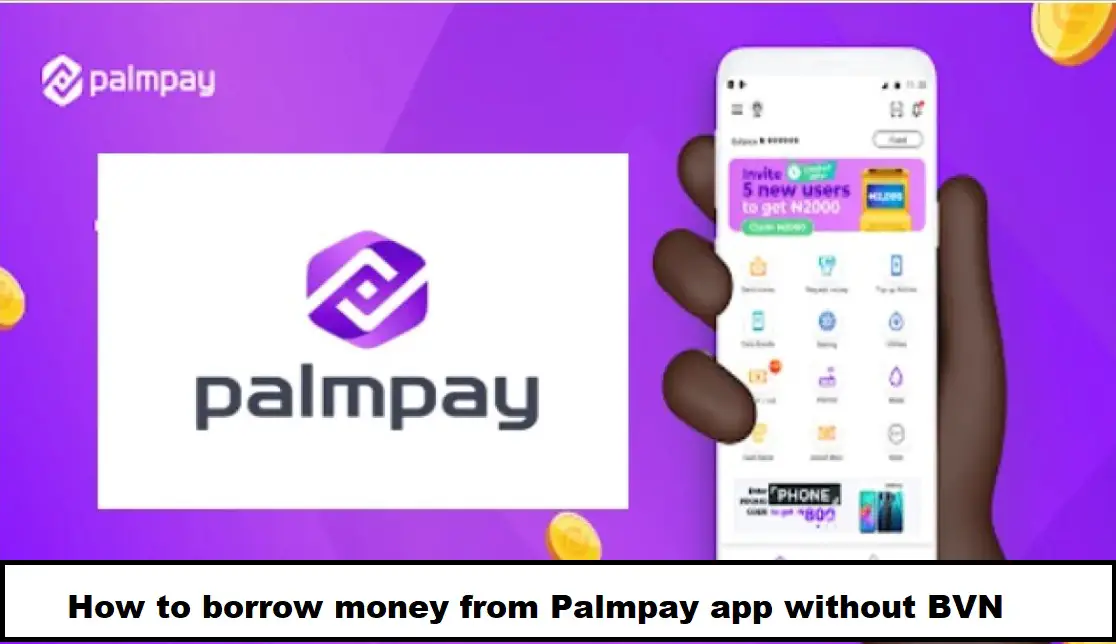 How to borrow money from Palmpay app without BVN